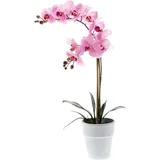 Künstliche Orchidee - Dolores | 65 cm