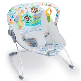 Bright Starts Bright Starts, Babywippe Safari Fun