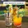 Libbey Cooler -GIBRALTAR- 473 ml, 16 cm, 12er Set,