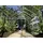 Vitavia Mars 9900 Alu ESG 3 mm 9,9 m2 inkl. Fundament