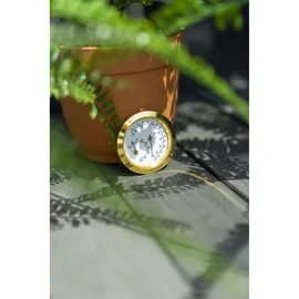 Vitavia Hygrometer