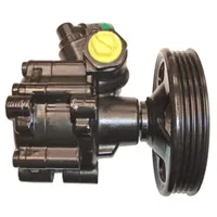 Lizarte Servopumpe Schwarz für Fiat Peugeot Boxer