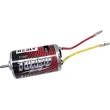 Reely Motor 550er Elektromotor