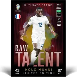Topps Topps/Merlin UEFA Fußball-Europameisterschaft 2024 Trading Cards Booster Tin Sortiment (12)