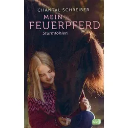 Sturmfohlen - Mein Feuerpferd (Bd. 2)