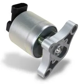 Magneti Marelli AGR-Ventil