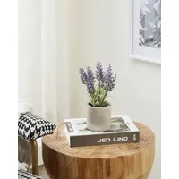 EGLO Kunstpflanze Lawendel Chitose im Topf lila 22 x 8 cm