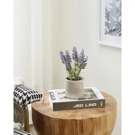 EGLO Kunstpflanze Lawendel Chitose im Topf lila 22 x 8 cm