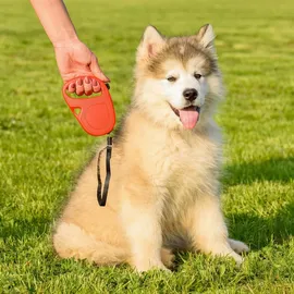 Ferplast Hundeleine Flippy ONE, Rollleine kleine Hunde bis 12 kg. Ausziehbare Schnur max. 4,5 m. Einzelner Knopf zum Verriegeln und Entriegeln, rot