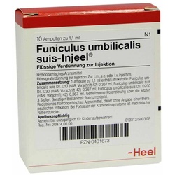 Funiculus Umbilicalis suis Injeel Ampullen