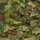 Tropical Malawi 2 x 5000 ml