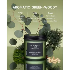 luxuskollektion Eukalyptus Minze Duftkerze 330 g türkis