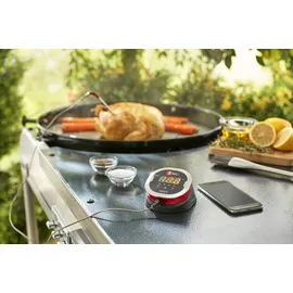 WEBER Grillthermometer iGrill 2 7221