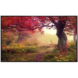 Papermoon Infrarotheizung Herbstbäume 750 W bunt