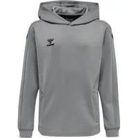 hummel Hoodie Grey 176