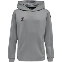 hummel Hoodie Grey 176