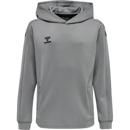 hummel Hoodie Grey 176