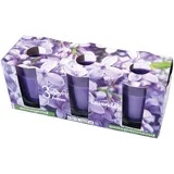 HS Candle Duftkerzen Classic Kerzen 3er Pack Lavendel