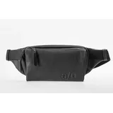 Aunts & Uncles Japan Himeji volcanic ash