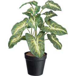 Creativ green Künstliche Zimmerpflanze »Syngonium Pixie«, mit grüngelben Blättern Creativ green grün