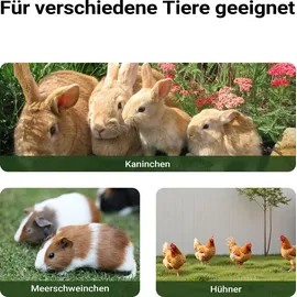 Wiltec Hasenstall XXL 156 x 52 x 68 cm mit Freigehege