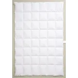 Centa-Star Ambiente leicht 100% Daunen 240x220 cm