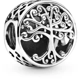 Pandora Damen-Bead Charms 925 Sterlingsilber 797590