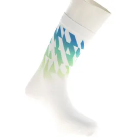 SIDAS Run Motion Laufsocken 2 Paare Blau/Grün 39-41