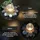 Star Trading LED Solardekoblume Lilly, 3er Pack - Gold,
