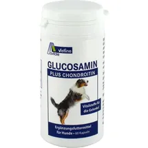Avitale Glucosamin+Chondroitin für Hunde 60 St.