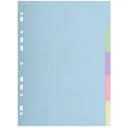 Exacompta Register aus Recycling-Karton 170g/qm, 5 Positionen, für Format DIN A4 - Forever