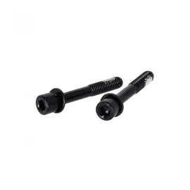 TRP Flat Mount Schrauben 32 mm Schwarz