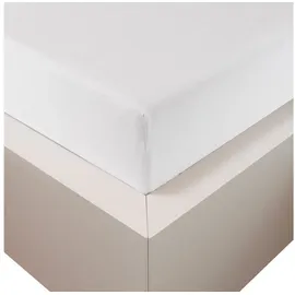 Traumschloss Spannbettlaken Premium Plus Jersey 180 x 200 - 200 x 220 cm weiß 1 St.