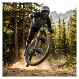 RockShox Federgabel RockSh.Psylo Gold Isolator RC 27.5"Boost,15x110mm,150mm,sw,44offset,DA