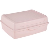 KEEEPER Frischhaltedose mit Klickverschluss, midi pink B/H/L: ca. 13x7x17 cm, - pink