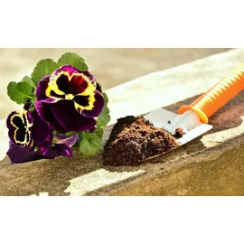 Biovita Kokosnussfaser für Pflanzen und Blumen 10 mm 5l