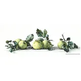 Lucas Luca-S Stillleben mit Äpfeln, Zählmuster, 49,5x16,5cm