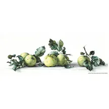 Lucas Luca-S Stillleben mit Äpfeln, Zählmuster, 49,5x16,5cm