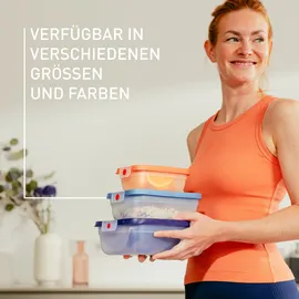 Emsa Frischhaltedose rechteckig lila 20,19 cm x 25,97 cm x 8,5 cm 2,3 l