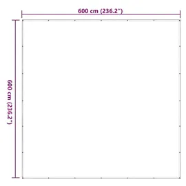 vidaXL Plane 6 x 6 m Transparent