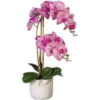Creativ green Kunstblume Orchidee Phalaenopsis ca. 60 cm, im Zementtopf (pinkcreme)