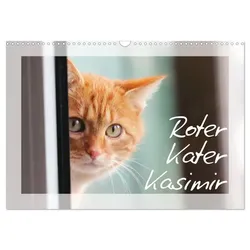 Roter Kater Kasimir (Wandkalender 2025 DIN A3 quer), CALVENDO Monatskalender