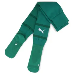 Puma Teamfinal Socks sport green-puma white-power green (05) 5