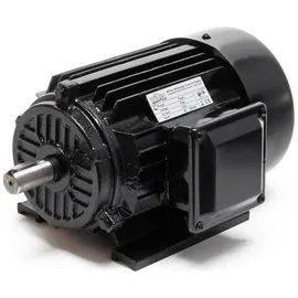 Wiltec Wiltec, Elektromotor, Elektromotor