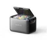 EcoFlow GLACIER 55 l