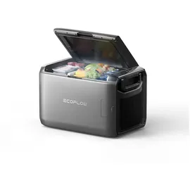 EcoFlow GLACIER 55 l