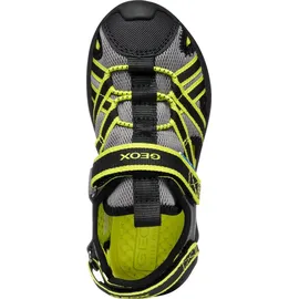 GEOX AIRADYUM BO Grau/Lime 27