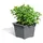 Gartenpirat Pflanzkübel 32 x 32 x 26 cm Grau