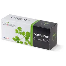 Veritable Lingot Cilantro