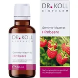 Dr. Koll Biopharm GmbH Gemmo Mazerat Himbeere Dr. Koll Rubus idaeus Tropf.